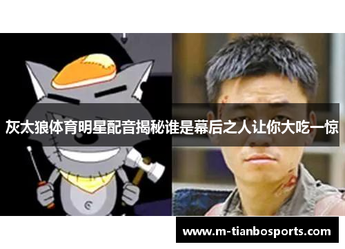 灰太狼体育明星配音揭秘谁是幕后之人让你大吃一惊